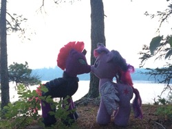 Size: 3264x2448 | Tagged: safe, artist:ejlightning007arts, tempest shadow, twilight sparkle, alicorn, pony, g4, armor, broken horn, build-a-bear, duo, female, forest, high res, horn, irl, kissing, lake, lesbian, photo, photography, plushie, ship:tempestlight, shipping, tree, twilight sparkle (alicorn)