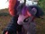 Size: 3264x2448 | Tagged: safe, artist:ejlightning007arts, tempest shadow, twilight sparkle, alicorn, pony, g4, armor, broken horn, build-a-bear, duo, female, forest, high res, horn, hug, irl, lake, lesbian, photo, photography, plushie, ship:tempestlight, shipping, tree, twilight sparkle (alicorn)