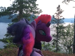 Size: 3264x2448 | Tagged: safe, artist:ejlightning007arts, tempest shadow, twilight sparkle, alicorn, pony, g4, armor, broken horn, build-a-bear, duo, female, forest, high res, horn, hug, irl, lake, lesbian, outdoors, photo, photography, plushie, ship:tempestlight, shipping, tree, twilight sparkle (alicorn)