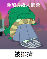 Size: 666x846 | Tagged: safe, edit, edited screencap, screencap, wallflower blush, equestria girls, equestria girls series, forgotten friendship, g4, chinese, meme, translated in the comments