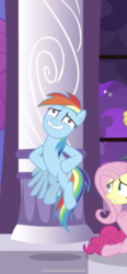 Size: 828x1792 | Tagged: safe, edit, edited screencap, screencap, rainbow dash, pegasus, pony, g4, the summer sun setback, cropped, female, mare, rainbow dash is best facemaker, solo focus