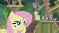 Size: 1920x1080 | Tagged: safe, screencap, angel bunny, doctor fauna, fluttershy, smoky, smoky jr., softpad, earth pony, koala, pegasus, pony, raccoon, g4, she talks to angel, adventure in the comments, animal, animated, body swap, discussion in the comments, female, graveyard of comments, i want to marry discord, mare, shipping fuel, shipping war in the comments, sound, user meltdown in the comments, webm