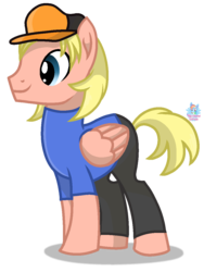 Size: 895x1188 | Tagged: safe, artist:rainbow eevee, pegasus, pony, base used, blonde, blonde hair, blonde mane, cap, chris griffin, clothes, cursed image, family guy, hat, male, ponified, shirt, simple background, smiling, solo, transparent background, vector, wat