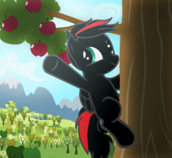 Size: 3600x3300 | Tagged: safe, artist:agkandphotomaker2000, oc, oc only, oc:arnold the pony, pegasus, pony, apple, apple tree, climbing, food, high res, red and black mane, red and black oc, scenery, solo, tree, tree branch