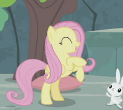 Size: 674x604 | Tagged: safe, screencap, angel bunny, fluttershy, pegasus, pony, rabbit, g4, season 9, she talks to angel, animal, animated, cropped, cute, duo, female, horses doing horse things, jumping, loop, male, mare, perfect loop, shyabetes