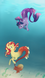 Size: 554x960 | Tagged: safe, artist:airborneice, sunset shimmer, twilight sparkle, alicorn, merpony, seapony (g4), g4, bubble, crepuscular rays, digital art, dorsal fin, duo, female, fin, fin wings, fins, fish tail, flowing mane, flowing tail, horn, looking at each other, mare, ocean, seaponified, seapony sunset, seapony twilight, seaweed, smiling, species swap, sunlight, swimming, tail, twilight sparkle (alicorn), underwater, water, wings