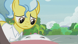 Size: 1920x1080 | Tagged: safe, screencap, angel bunny, doctor fauna, fluttershy, earth pony, pegasus, pony, rabbit, g4, she talks to angel, animal, animated, body swap, concentrated carrot extract, female, male, mare, sound, webm