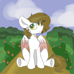 Size: 4000x4000 | Tagged: safe, artist:whiteberry, oc, oc only, oc:whiteberry, pegasus, pony, bust, food, portrait, solo, strawberry, strawberry field