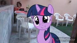 Size: 1024x576 | Tagged: safe, artist:zachosau, twilight sparkle, pony, unicorn, g4, chair, cute, female, irl, looking at you, mare, photo, ponies in real life, powerdirector, signature, solo, table, unicorn twilight