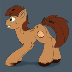 Size: 2000x2000 | Tagged: safe, artist:redquoz, oc, oc:red bark, earth pony, hengstwolf, original species, pony, werewolf, atg 2019, blue background, chest fluff, crouching, ear fluff, green eyes, high res, hooves, looking offscreen, lycanwood pony, newbie artist training grounds, paws, ponysona, shocked, simple background, teeth, transformation