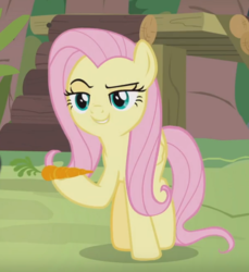 Size: 603x659 | Tagged: safe, screencap, angel bunny, fluttershy, pegasus, pony, g4, she talks to angel, body swap, carrot, cropped, evil grin, female, food, grin, lidded eyes, mare, raised eyebrow, smiling, smirk, solo