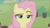 Size: 1278x721 | Tagged: safe, screencap, angel bunny, fluttershy, pegasus, pony, g4, she talks to angel, angel bunny is not amused, body swap, close-up, cropped, female, frown, lidded eyes, mare, raised eyebrow, solo