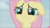 Size: 1280x721 | Tagged: safe, screencap, angel bunny, fluttershy, pegasus, pony, g4, she talks to angel, body swap, close-up, cropped, cute, female, floppy ears, mare, sad, sadorable, scared, shyabetes, solo, wavy mouth