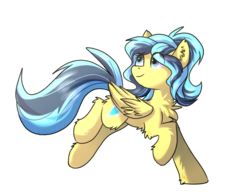 Size: 1920x1500 | Tagged: safe, artist:kaliner123, oc, oc only, oc:sino, pegasus, pony, chest fluff, ear fluff, female, gift art, mare, simple background, solo, transparent background