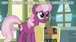 Size: 641x359 | Tagged: safe, edit, edited screencap, editor:undeadponysoldier, screencap, cheerilee, pony, a flurry of emotions, g4, book, caption, cheeribetes, cute, female, image macro, meme, ponyville schoolhouse, solo, summer, talking to viewer, text, window