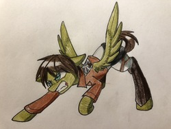 Size: 4032x3024 | Tagged: safe, artist:ponime11, pegasus, pony, attack on titan, clothes, eren jaeger, male, ponified, solo, stallion, traditional art