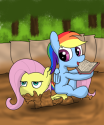 Size: 2000x2400 | Tagged: safe, artist:amateur-draw, fluttershy, rainbow dash, pegasus, pony, g4, awkward, bog, book, covered in mud, female, flutterseat, fluttershy is not amused, high res, mare, mud, mud bath, mud pony, muddy, not happy, ponies riding ponies, quicksand, rainbow dash riding fluttershy, riding, sinking, unamused, wet and messy