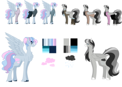Size: 7937x5669 | Tagged: safe, artist:moonlight0shadow0, oc, oc:drizzle cloud, oc:fluffy breeze, pegasus, pony, blaze (coat marking), boots, chest fluff, chubby, clothes, coat markings, ear piercing, earring, facial markings, female, fluffy, freckles, headband, hoodie, jacket, jeans, jewelry, leggings, male, mare, multicolored hair, pants, piercing, reference sheet, scarf, shoes, simple background, skirt, socks, stallion, sweater, transparent background, unshorn fetlocks