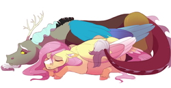 Size: 2900x1500 | Tagged: safe, artist:uunicornicc, discord, fluttershy, draconequus, pegasus, pony, g4, cute, discute, ear fluff, female, floppy ears, high res, leg fluff, male, mare, pregnant, prone, ship:discoshy, shipping, shyabetes, simple background, snuggling, straight, unshorn fetlocks, white background