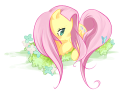 Size: 911x677 | Tagged: safe, artist:senri, fluttershy, butterfly, pegasus, pony, g4, cute, female, flower, grass, pixiv, prone, shyabetes, simple background, solo, white background