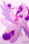 Size: 2000x3000 | Tagged: safe, artist:shad0w-galaxy, princess cadance, alicorn, pony, g4, belly button, cheek fluff, cute, cutedance, ear fluff, female, fluffy, high res, laughing, mare, patreon, smiling, solo, wing fluff