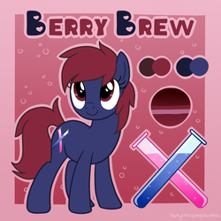 Size: 4000x4000 | Tagged: safe, artist:partypievt, oc, oc only, oc:berry brew, earth pony, pony, reference sheet, solo