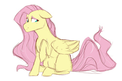 Size: 1920x1280 | Tagged: safe, artist:canisrettmajoris, fluttershy, pegasus, pony, g4, colored sketch, female, floppy ears, folded wings, looking at you, looking sideways, mare, missing cutie mark, raised hoof, simple background, sitting, sketch, smiling, solo, white background, wings