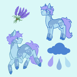 Size: 600x600 | Tagged: safe, artist:flaming-trash-can, oc, oc only, oc:lavender rain, earth pony, pony, male, reference sheet, solo, stallion