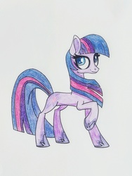 Size: 3024x4032 | Tagged: safe, artist:lucent starscape, twilight sparkle, earth pony, pony, g4, colored pencil drawing, earth pony twilight, female, g5 concept leak style, g5 concept leaks, mare, photo, race swap, raised hoof, solo, trace, traditional art, twilight sparkle (g5 concept leak)