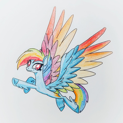 Size: 3024x3024 | Tagged: safe, artist:lucent starscape, rainbow dash, pegasus, pony, g4, colored pencil drawing, colored wings, female, flying, g5 concept leak style, g5 concept leaks, high res, mare, multicolored wings, rainbow dash (g5 concept leak), rainbow wings, simple background, solo, spread wings, trace, traditional art, white background, wings