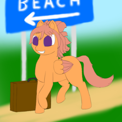 Size: 1000x1000 | Tagged: safe, artist:shoophoerse, oc, oc only, oc:shoop, pegasus, pony, atg 2019, newbie artist training grounds, sign, solo, suitcase
