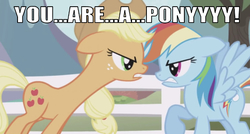 Size: 640x344 | Tagged: safe, edit, edited screencap, editor:undeadponysoldier, screencap, applejack, rainbow dash, earth pony, pegasus, pony, g4, the ticket master, angry, captain obvious, caption, cutie mark, female, fence, image macro, looking at each other, mare, meme, reference, shaped like itself, text, toy story, yelling, you are a toy