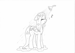 Size: 1198x842 | Tagged: safe, artist:friendshipishorses, fluttershy, pegasus, pony, g4, cute, eyes closed, female, floppy ears, monochrome, newbie artist training grounds, shower, shyabetes, smiling, solo, traditional art, wet mane