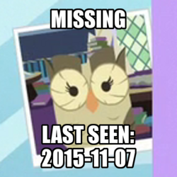 Size: 480x480 | Tagged: safe, edit, edited screencap, screencap, owlowiscious, bird, owl, g4, caption, cropped, image macro, male, missing, solo, text, they wasted a perfectly good character