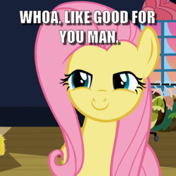 Size: 700x700 | Tagged: safe, fluttershy, pegasus, pony, g4, caption, dialogue, female, flutterhigh, high, image macro, mare, solo, text