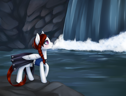 Size: 2400x1825 | Tagged: safe, artist:pinklemon23, artist:winnigrette, oc, oc only, pegasus, pony, clothes, digital art, scenery, solo, waterfall, ych result