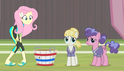 Size: 896x515 | Tagged: safe, edit, edited screencap, screencap, berry blend, berry bliss, fluttershy, summer breeze, pony, 2 4 6 greaaat, equestria girls, g4, my little pony equestria girls: better together, basket, buckball, female, friendship student, mare, sports, tall