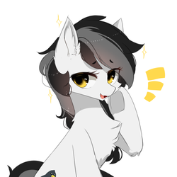 Size: 1000x1000 | Tagged: safe, artist:heddopen, oc, oc only, oc:noot, earth pony, pony, chest fluff, cute, ear fluff, female, looking at you, simple background, solo, white background