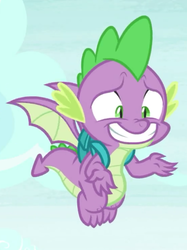 Size: 370x494 | Tagged: safe, screencap, spike, dragon, dragon dropped, g4, awkward smile, backpack, claws, cropped, flying, male, reaction image, shrug, smiling, solo, toes, winged spike, wings
