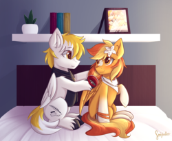 Size: 1780x1467 | Tagged: safe, artist:sonigiraldo, oc, oc only, oc:serenity, oc:white feather, pegasus, pony, bandana, bed, bedroom, book, bracelet, brushing, clothes, duo, female, flower, flower in hair, hairbrush, jewelry, male, mare, necklace, on bed, picture frame, plant, scarf, serenither, sitting, stallion