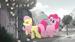 Size: 1366x768 | Tagged: safe, screencap, fluttershy, pinkie pie, pony, g4, rainbow roadtrip, apricot, desaturated, discovery family logo, door, duo, fence, grayscale, monochrome, peephole, peeping, tree, wooden fence, yard