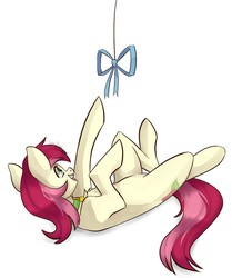 Size: 1161x1392 | Tagged: safe, artist:chibadeer, roseluck, cat pony, earth pony, original species, pony, g4, behaving like a cat, belly, bow, chest fluff, collar, commissioner:doom9454, cute, ear fluff, female, fluffy, mare, on back, pet tag, pony pet, rosabetes, rosepet, solo