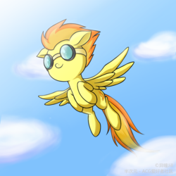 Size: 2000x2000 | Tagged: dead source, safe, artist:异瞳jill, spitfire, pegasus, pony, g4, cute, cutefire, female, goggles, high res, mare, solo