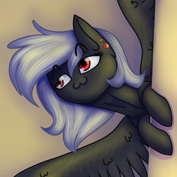 Size: 1500x1500 | Tagged: safe, oc, oc only, oc:luriel maelstrom, pegasus, pony, :3, behind the scenes, peeking, piercing, raised eyebrows, simple background, smug, stare