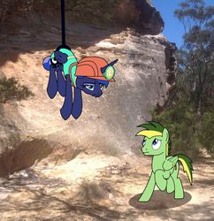 Size: 1280x1321 | Tagged: safe, artist:didgereethebrony, princess luna, oc, oc:didgeree, alicorn, pegasus, pony, between dark and dawn, g4, australia, blue mountains, cliff, cutie mark, dangling, didgeree collection, helmet, irl, mlp in australia, photo, ponies in real life, rope, story included, unamused