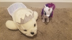 Size: 4032x2268 | Tagged: safe, rarity, pony, seal, unicorn, g4, clothes, crown, dress, jewelry, paper crown, paper dress, regalia