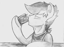 Size: 1380x1008 | Tagged: safe, artist:spackle, oc, oc only, oc:buck evergreen, earth pony, pony, alcohol, bandana, blushing, drinking, eyes closed, grayscale, hoof hold, male, monochrome, pencil drawing, simple background, solo, stallion, table, traditional art, white background