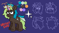Size: 1920x1080 | Tagged: safe, artist:threetwotwo32232, oc, oc only, oc:bright side, earth pony, pony, artificial horn, reference sheet, solo