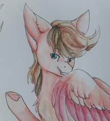 Size: 927x1024 | Tagged: safe, artist:primarylily-brisk, oc, oc:crimsonwing, pegasus, pony, green eyes, male, smiling, traditional art