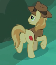 Size: 433x503 | Tagged: safe, screencap, braeburn, earth pony, pony, g4, the summer sun setback, butt, cowboy hat, cropped, hat, hooves, male, plot, raised hoof, stallion